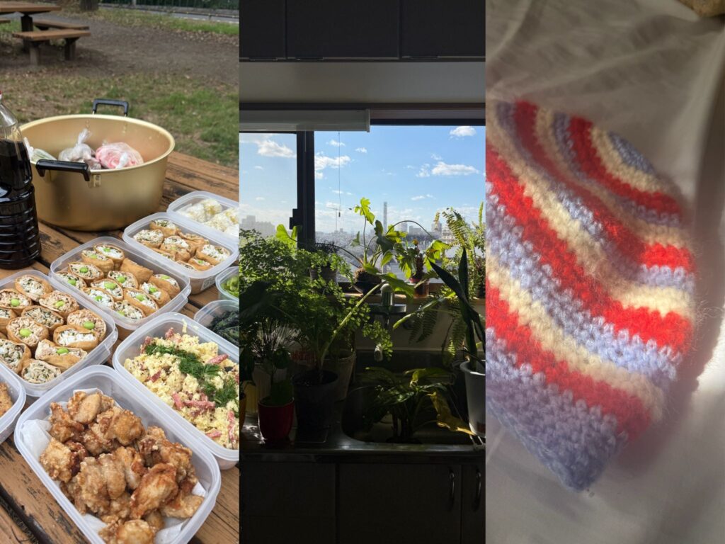 3枚の日常風景を並べたコラージュ。左は公園のテーブルに並ぶ手作りのピクニック弁当（唐揚げやいなり寿司）、中央は青空が見える窓辺に並んだ観葉植物とキッチンシンク、右は白・赤・紫のボーダー柄の手編みニット帽。
